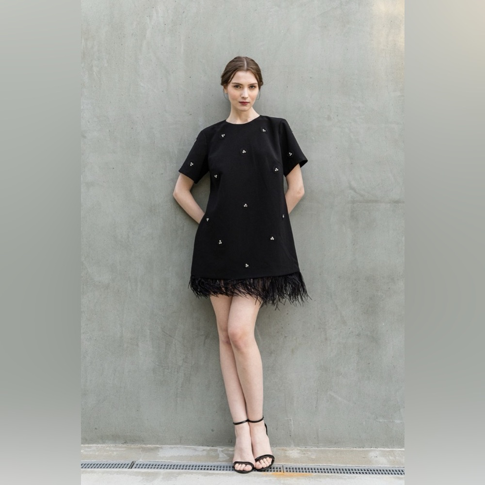 NWOT Short Sleeve Jeweled Feather Hem Mini Dress in Black